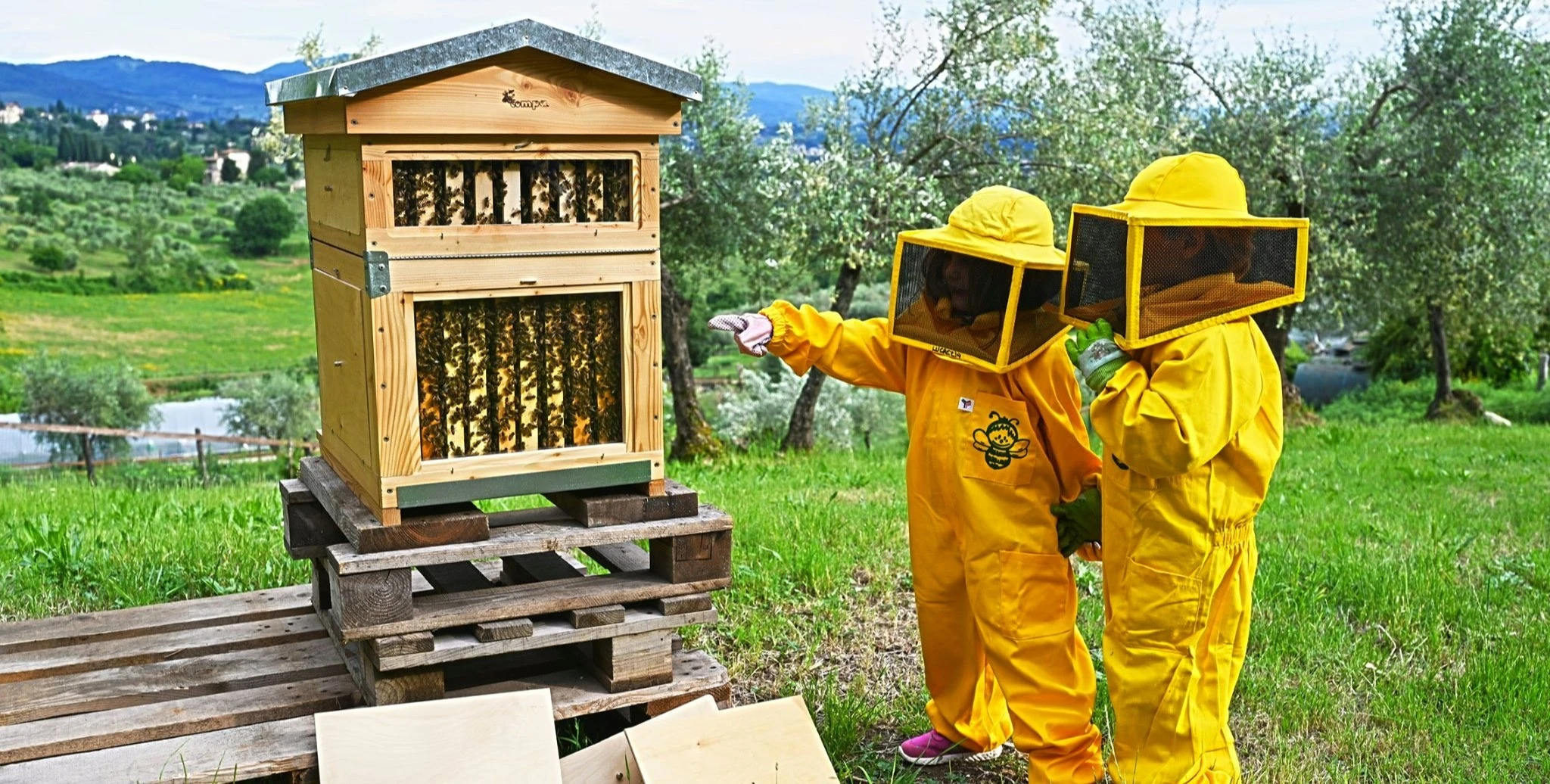 Apicoltore per un Giorno vicino Firenze