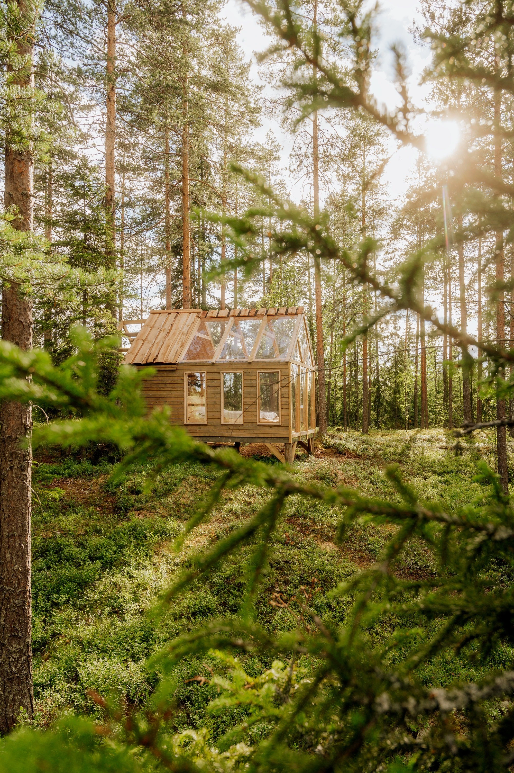 Dormire nella foresta di Kuopio in Finlandia