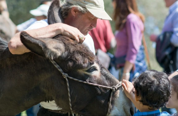 Esperienza ludica con Asini e Cavalli a Pietra Ligure