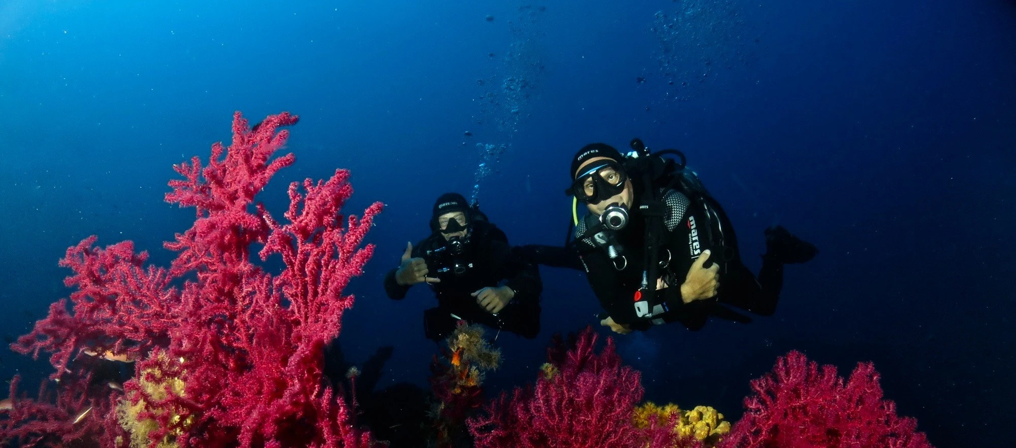 Immersione Subacquea all'Isola d'Elba