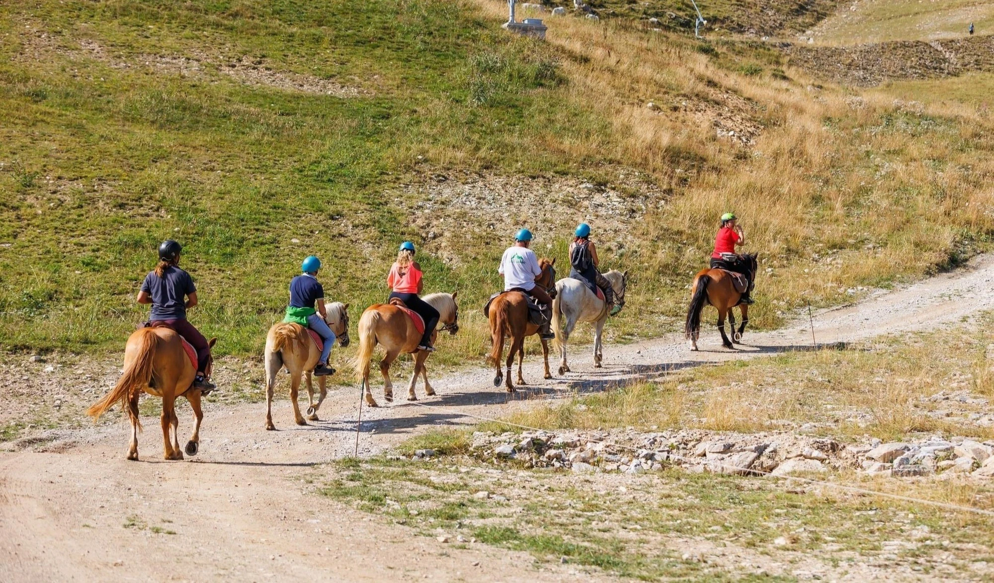 Lezione ed Escursione a Cavallo al Monte Olocco