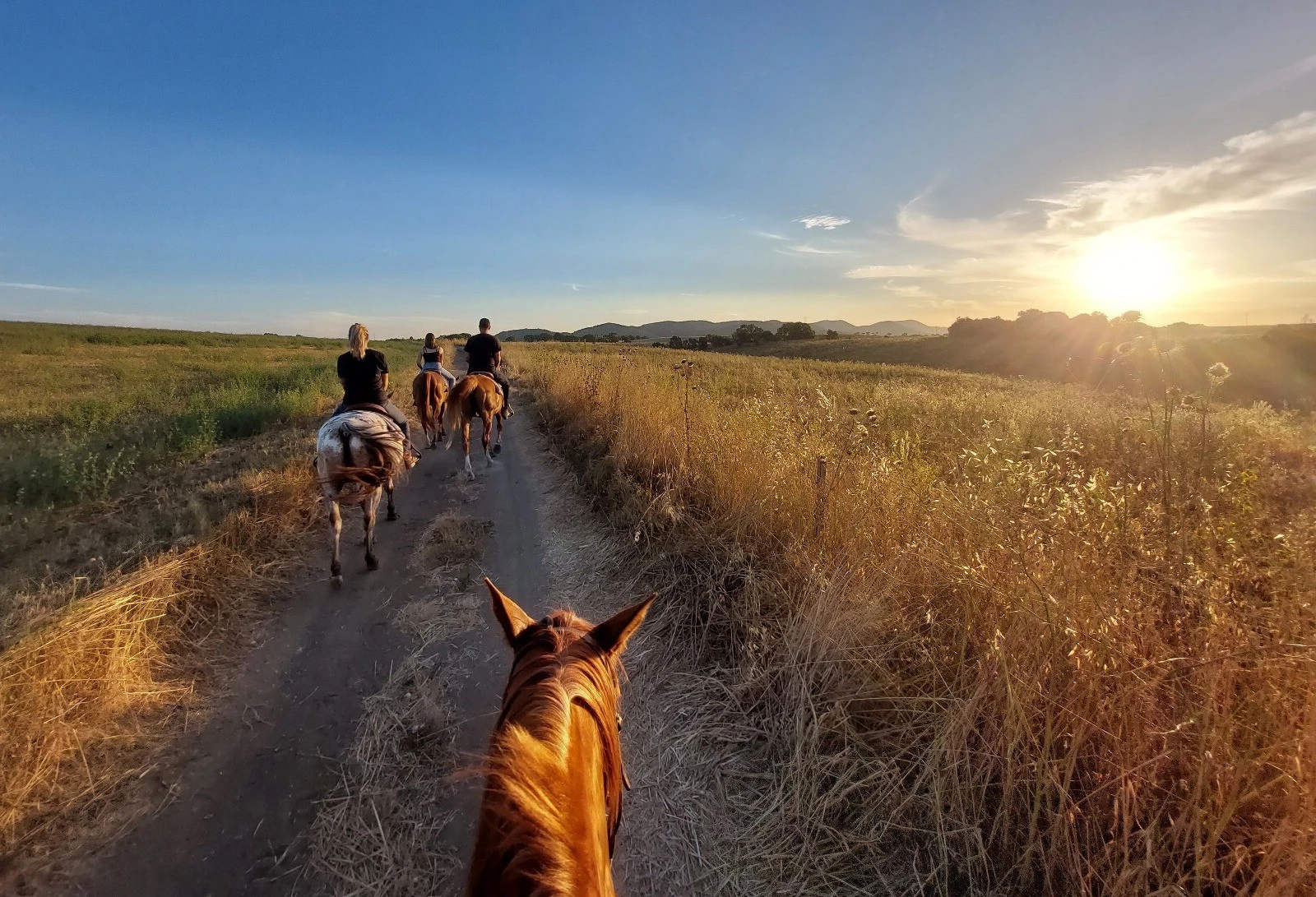 Passeggiata a Cavallo a Cerveteri