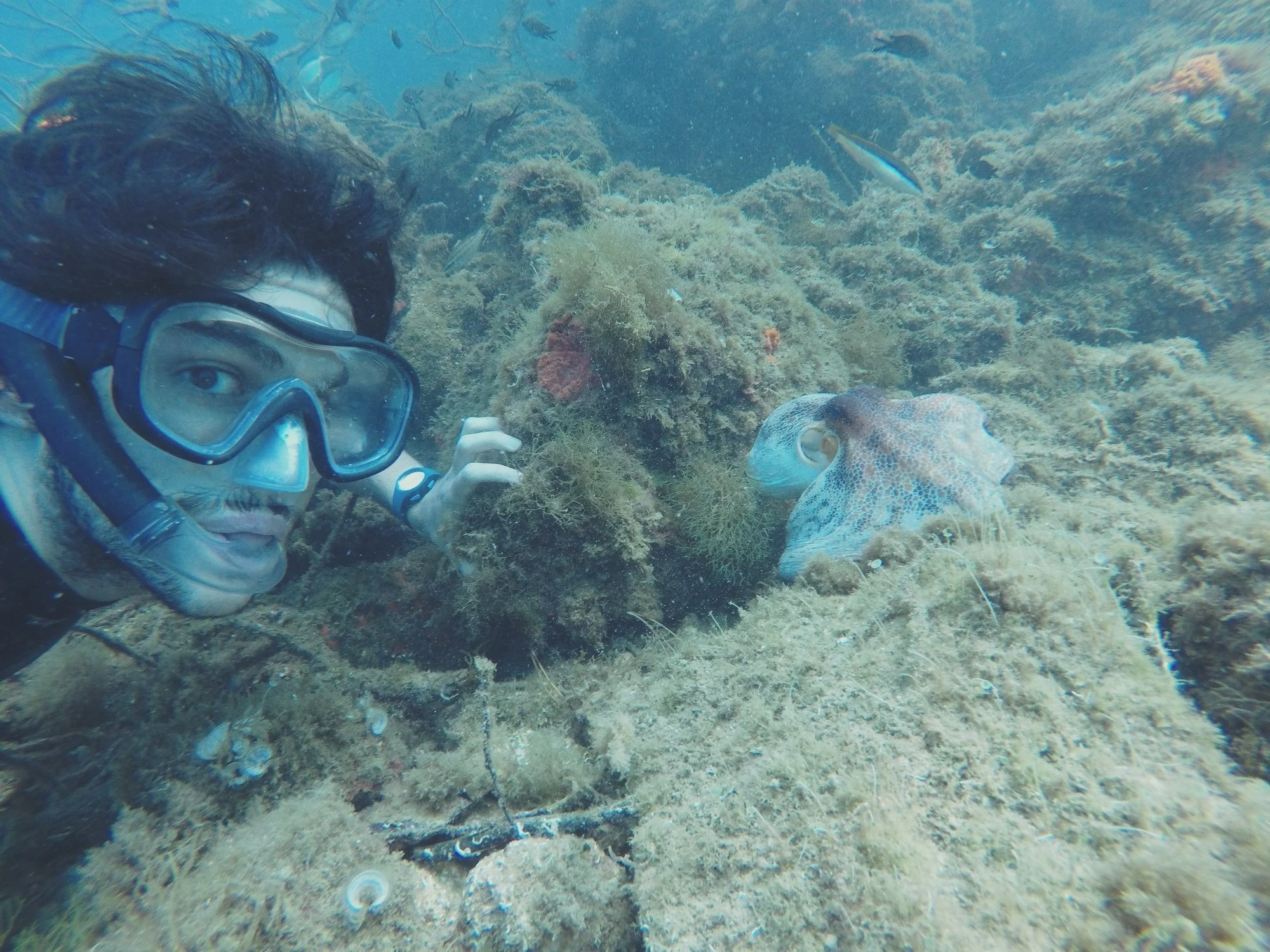 Snorkeling a Portofino in Liguria