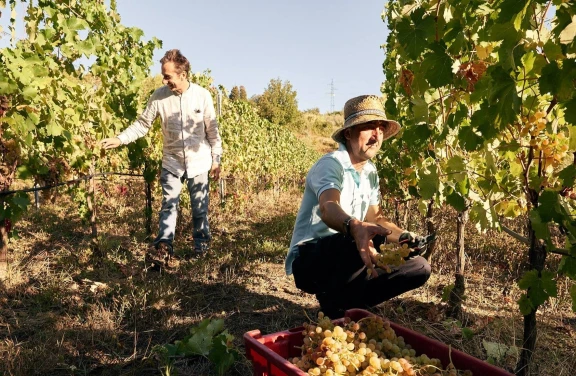 Soggiorno "Di Vino" a Sarzana in Liguria