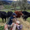 Apicoltore per un Giorno vicino Firenze