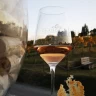 Calatroni Vini - Visita e Degustazione
