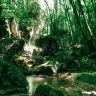 Canyoning a Jumanji nella Valle del Turano