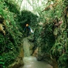 Canyoning a Jumanji nella Valle del Turano