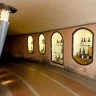 Degustazione e Visita in Cantina vicino Predappio