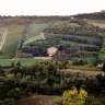 Degustazione e Visita in Cantina vicino Predappio