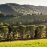 Degustazione e Visita in Cantina vicino Predappio