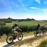 E-Bike Tour nel Monferrato