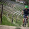 E-Bike Tour nel Monferrato