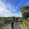 E-Bike Tour sui Colli Bolognesi con Degustazione