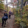 Giornata a Cavallo ad Avigliana