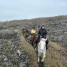 Giornata a Cavallo nel Parco dell'Etna