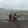 Giornata a Cavallo nel Parco dell'Etna