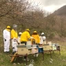 Giornata da Apicoltore a Fabriano nelle Marche