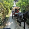 Giro in Carrozza ad Assisi e Rivotorto