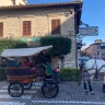 Giro in Carrozza ad Assisi e Rivotorto