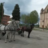 Giro in Carrozza ad Assisi e Rivotorto