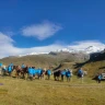 Lezione ed Escursione a Cavallo al Monte Olocco