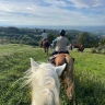 Lezione ed Escursione a Cavallo al Monte Olocco