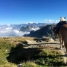 Lezione ed Escursione a Cavallo al Monte Olocco