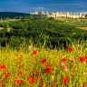 Mistery Tour nel Chianti