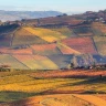 "Nubilato" Mistery Tour nelle Langhe