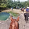 Passeggiata a Cavallo a Cerveteri