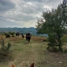 Passeggiata a Cavallo a Cerveteri