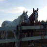 Passeggiata a Cavallo a Cerveteri