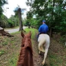 Passeggiata a Cavallo a Cerveteri