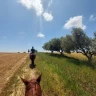 Passeggiata a Cavallo a Cerveteri