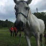 Passeggiata a Cavallo a Lurisia Terme