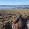 Passeggiata a Cavallo a Umbertide in Umbria