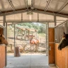 Passeggiata a Cavallo a Umbertide in Umbria