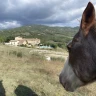 Passeggiata a Cavallo a Umbertide in Umbria