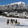 Passeggiata a Cavallo in Trentino Alto Adige vicino Trento