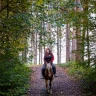 Passeggiata a Cavallo in Trentino Alto Adige vicino Trento