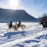 Passeggiata a Cavallo in Trentino Alto Adige vicino Trento