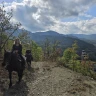 Passeggiata a Cavallo in Val Noveglia