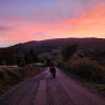 Passeggiata a Cavallo in Val Noveglia