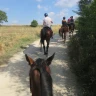 Passeggiata a Cavallo nel Chianti con Degustazione e Pranzo