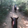 Passeggiata a Cavallo nel Chianti con Degustazione e Pranzo