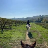 Passeggiata a Cavallo nel Chianti con Degustazione e Pranzo