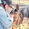 Passeggiata a Cavallo nel Chianti con Degustazione e Pranzo