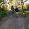 Passeggiata a Cavallo nel Parco dell'Etna