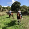 Passeggiata a Cavallo nel Parco dell'Etna